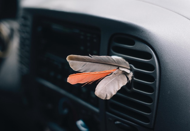 Zbliżenie pomarańczowego pióra na oknie samochodu