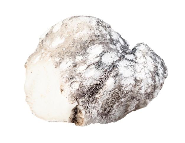 Zbliżenie próbki naturalnego minerału z kolekcji geologicznej niepolerowany kamień szlachetny Cacholong odizolowany na białym tle