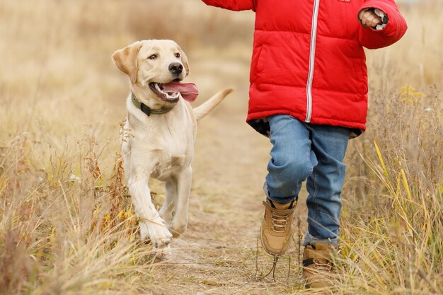 Zbliżenie psa biegnącego z językiem wywieszonym obok dziecka, dziecko jest częściowo widoczne