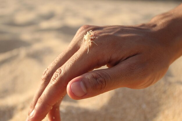 Zdjęcie zbliżenie rąk na piasku