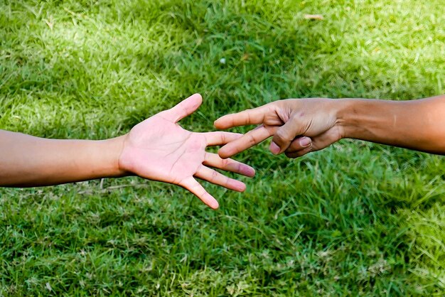Zdjęcie zbliżenie rąk na trawie