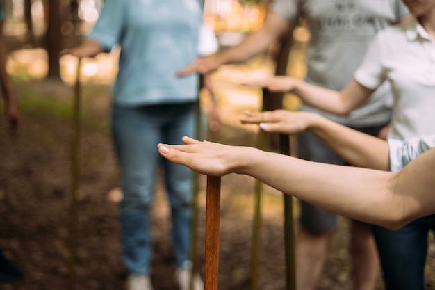 Zbliżenie Rąk Osób Stojących I Trzymających Kije Impreza Integracyjna Do Rajdów I