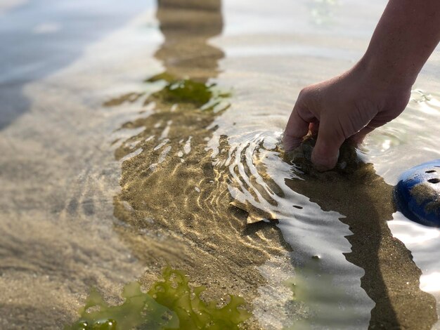 Zdjęcie zbliżenie ręki dotykającej ryby gwiazdki na plaży