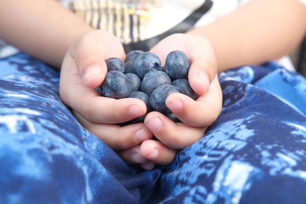 Zbliżenie ręki dziecka trzymającego świeże jagody niebieskie