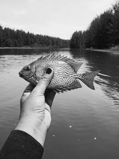 Zdjęcie zbliżenie ręki trzymającej jezioro