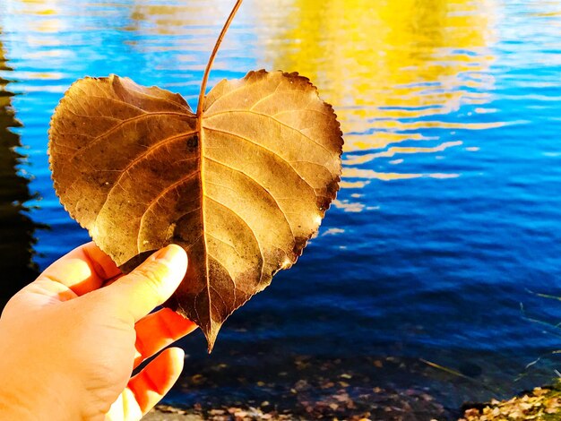 Zdjęcie zbliżenie ręki trzymającej liść na tle jeziora