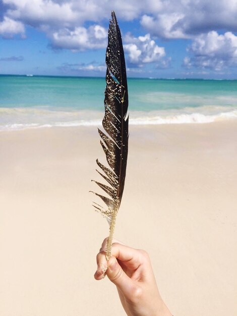 Zdjęcie zbliżenie ręki trzymającej pióro na plaży na tle nieba