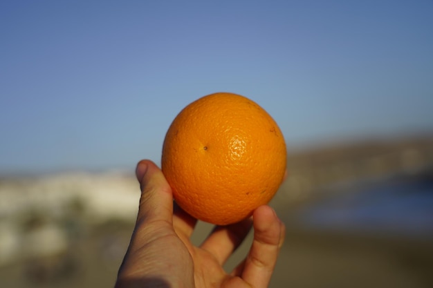 Zdjęcie zbliżenie ręki trzymającej pomarańcz