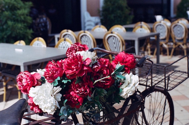 Zdjęcie zbliżenie roślin kwitnących na rowerze w mieście