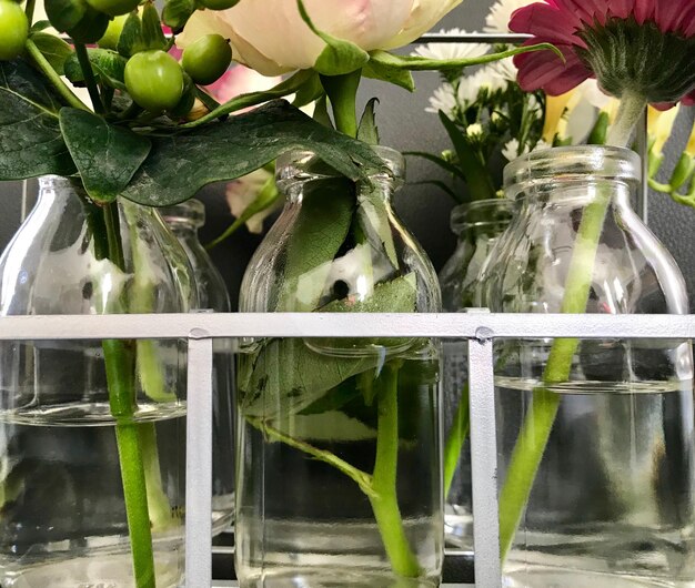 Zdjęcie zbliżenie roślin w szklanych pojemnikach