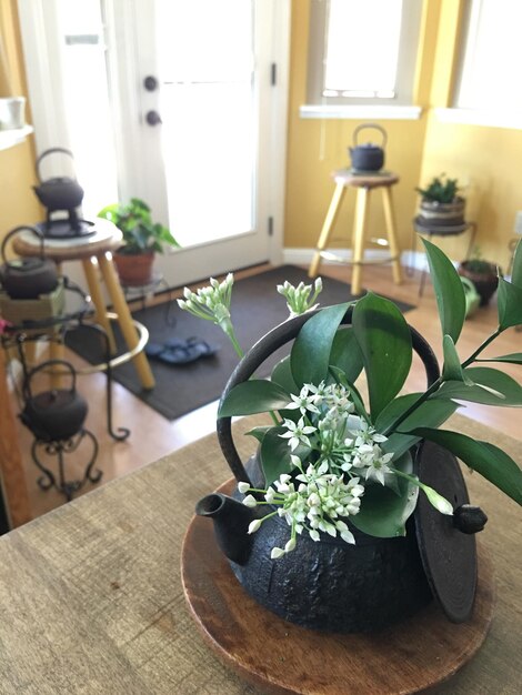 Zdjęcie zbliżenie rośliny w doniczce na stole w domu