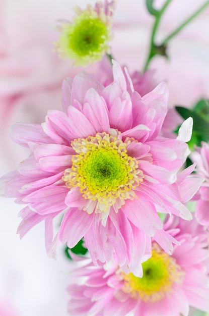 Zdjęcie zbliżenie różowego kwiatu