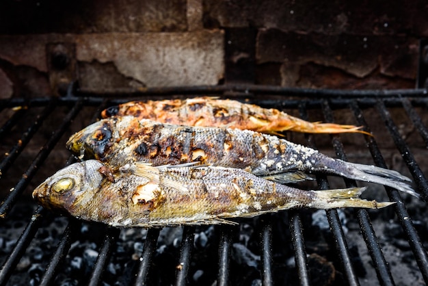 Zbliżenie ryb na grillu
