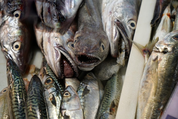 Zdjęcie zbliżenie ryb przeznaczonych do sprzedaży na targu