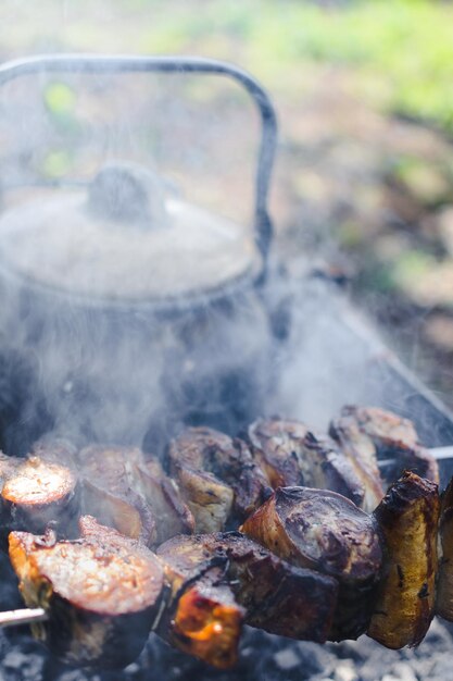 Zbliżenie Ryba Pieczona Na Węglach Na Szaszłykach Na Grillu Za Dymem Czajnik