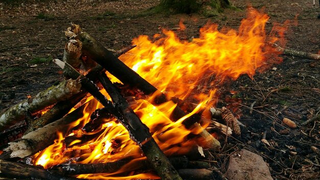 Zdjęcie zbliżenie spalania drewna opałowego na polu