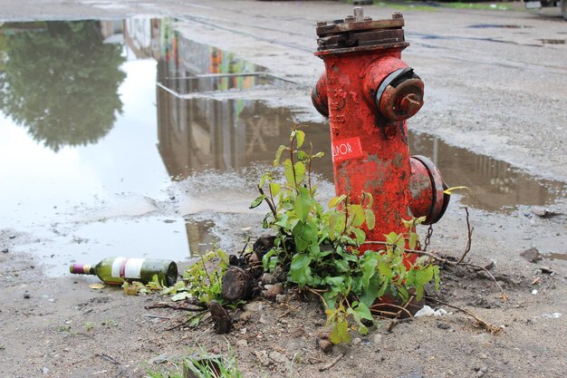 Zdjęcie zbliżenie starego hydrantu pożarowego przy mokrej ulicy