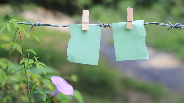 Zdjęcie zbliżenie suszenia papieru na sznurku do prania