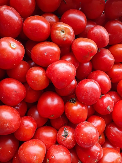zbliżenie świeżych czerwonych pomidorów