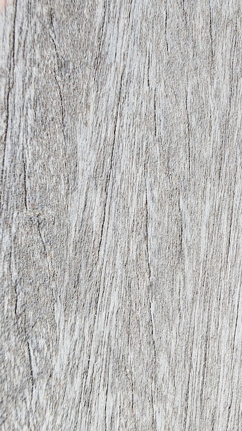 Zbliżenie szarej powierzchni drewna o szorstkiej teksturze.