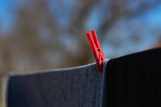 Zdjęcie zbliżenie szpilki na sznurku do prania
