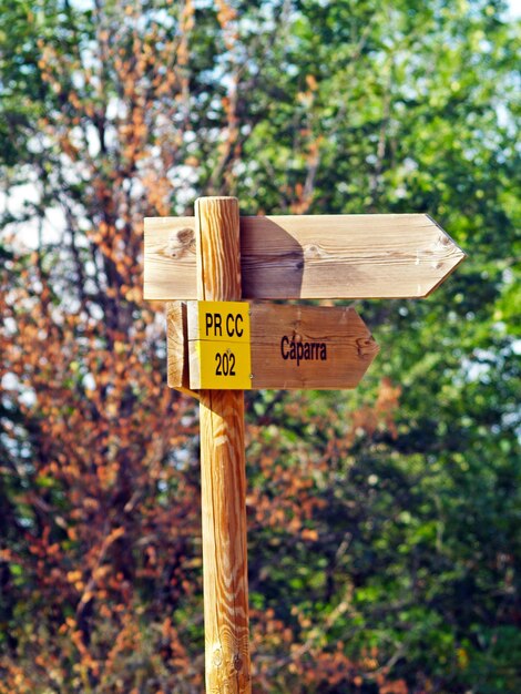 Zdjęcie zbliżenie tekstu na drzewie