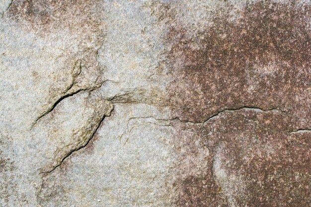 Zbliżenie tekstury kamienia naturalnego, abstrakcyjne tło, pień fotografia