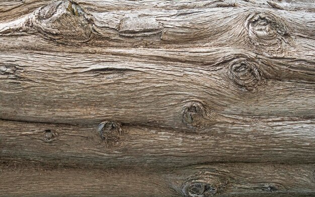 Zbliżenie Tekstury Kory Drzewa. Naturalne Tło