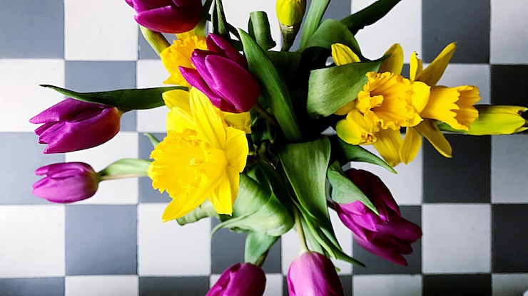 Zdjęcie zbliżenie: wielokolorowe tulipany w wazonie