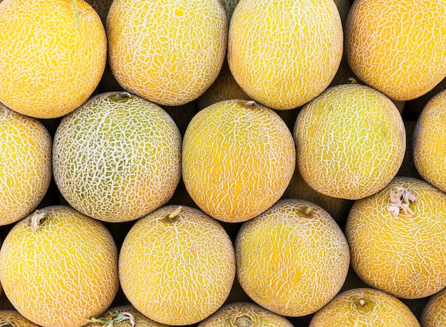Zdjęcie zbliżenie wielu melonów. letnia taca rynku rolnego gospodarstwa pełne ekologicznych owoców. zdrowe odżywianie.
