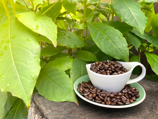 Zdjęcie zbliżenie ziaren i liści kawy