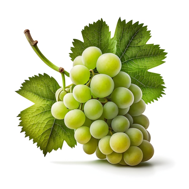 Zbliżenie zielonego winogrona odizolowane owoce na białym tle