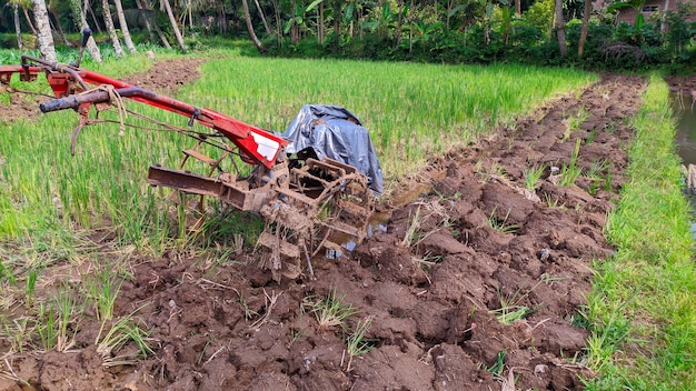 zbliżenie zielonych gruntów ornych zaoranych ciągnikiem w Jawie w Indonezji