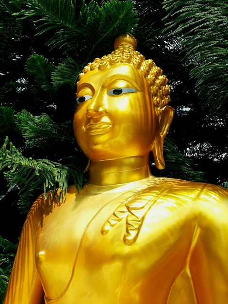 Zdjęcie zbliżenie złotego posągu buddy na drzewach