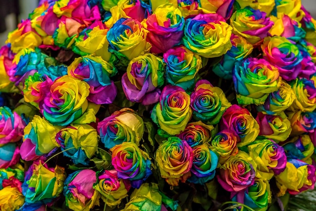 Zdjęcie zbliżone róże mają naturalną teksturę w kolorowych tonach