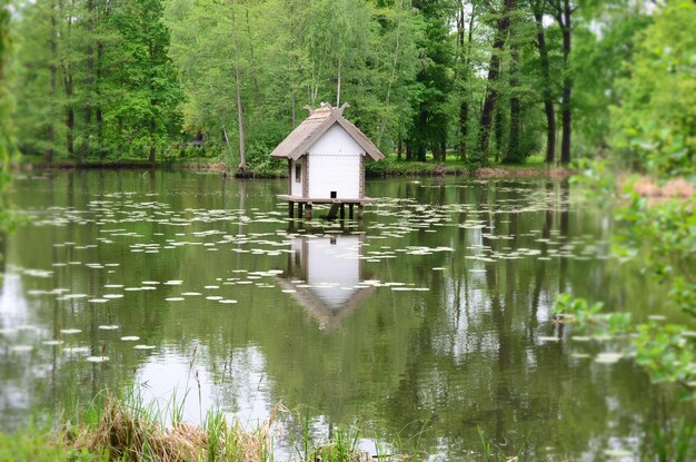 Zdjęcie zbudowana budowla pośród jeziora przeciwko drzewom