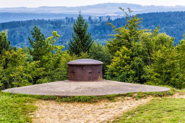 Zdjęcie zbudowana struktura w lesie na tle nieba