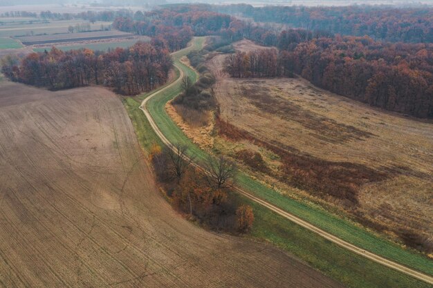 Zdjęcia drona lasu i ścieżki wiejskiej jesienią