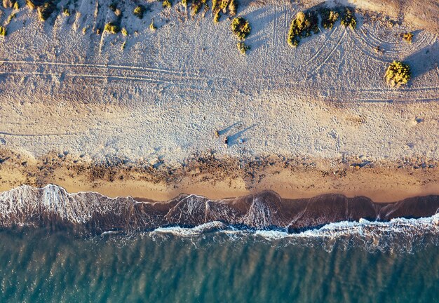 Zdjęcia lotnicze dziewczyny z psem na dziewiczej plaży w parku przyrodniczym Punta Entinas Almeria Hiszpania