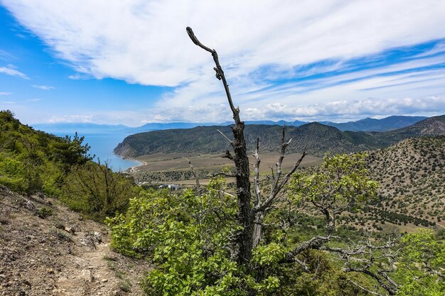 Zdjęcie zdjęcia przyrodnicze na szlaku golicyna krajobrazy morza czarnego i gór krymskich w zieleni krymu