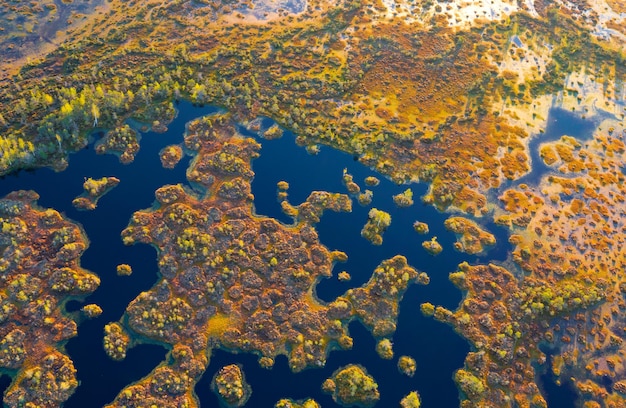 Zdjęcie bagna z lotu ptaka