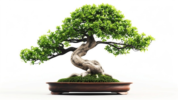 Zdjęcie drzewa bonsai w garnku w odosobnionym tle Doskonała roślina bonsai generowana przez AI