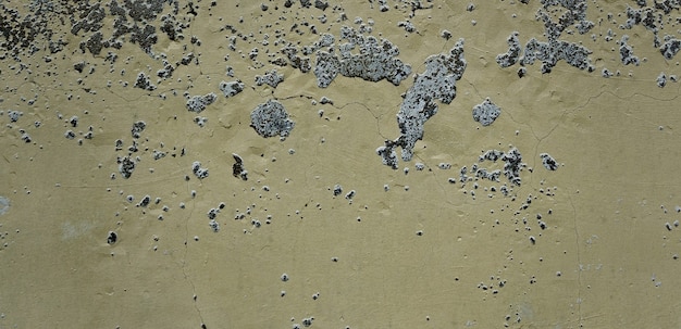 zdjęcie kamiennej powierzchni