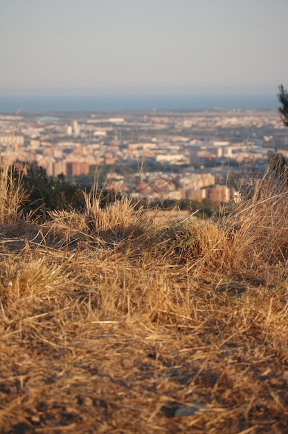 Zdjęcie Koncentrowanie się na ziemi z miastem Barcelona z tyłu