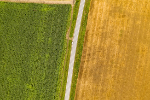 Zdjęcie lotnicze drona z góry ziemi z posadzonymi zielonymi polami na wsi