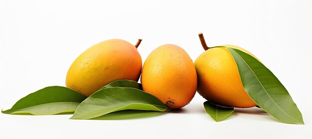 zdjęcie mango z liśćmi na białym tle reklama mango