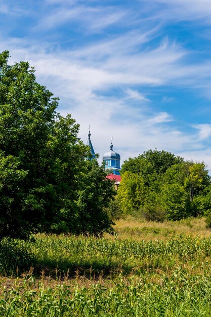 Zdjęcie niebieskiego kościoła między zielonymi drzewami w lecie