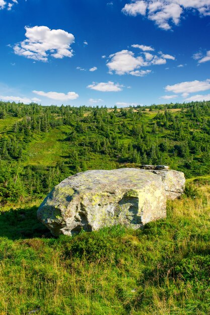 Zdjęcie zdjęcie pięknego, zielonego, mglistego, gęstego lasu karpat w letni dzień w górach z dużym kamieniem