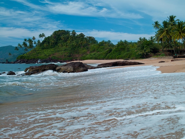 Zdjęcie zdjęcie pięknych plaż goa na tle nieba i zieleni