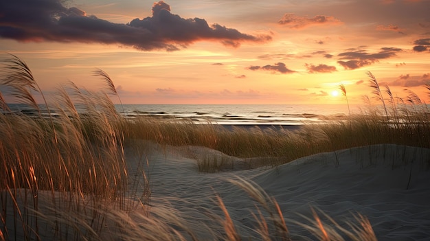 zdjęcie plaży z owsiankami morskimi, krajobrazem wydm, zachodem słońca